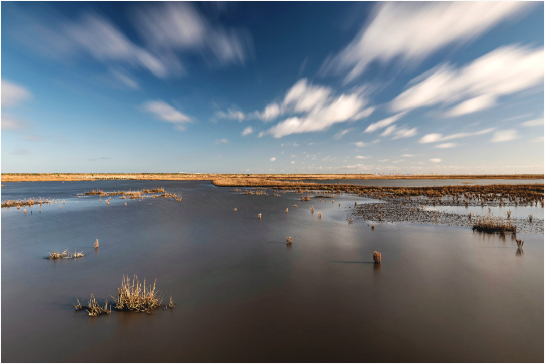 Main image Nordsee Wattenmeer - Acrylglas