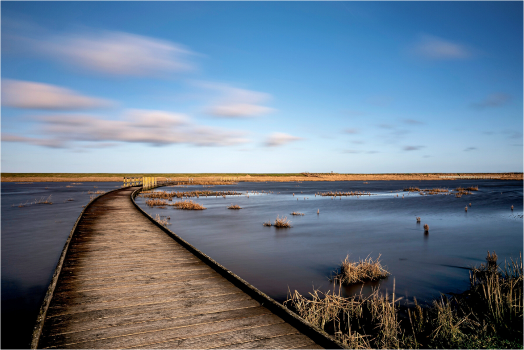 Main image Der Weg zur Nordsee - Hahnemühle Fine Art