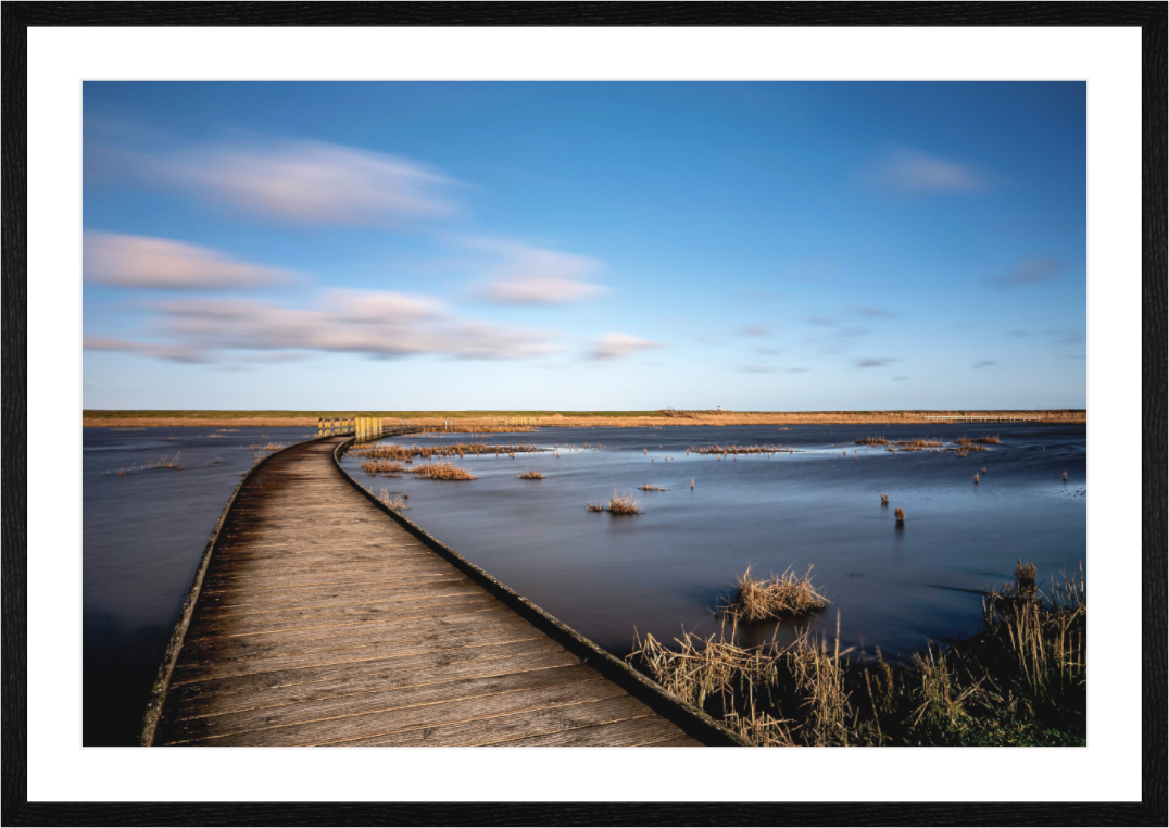 Main image Nordsee Wattenmeer