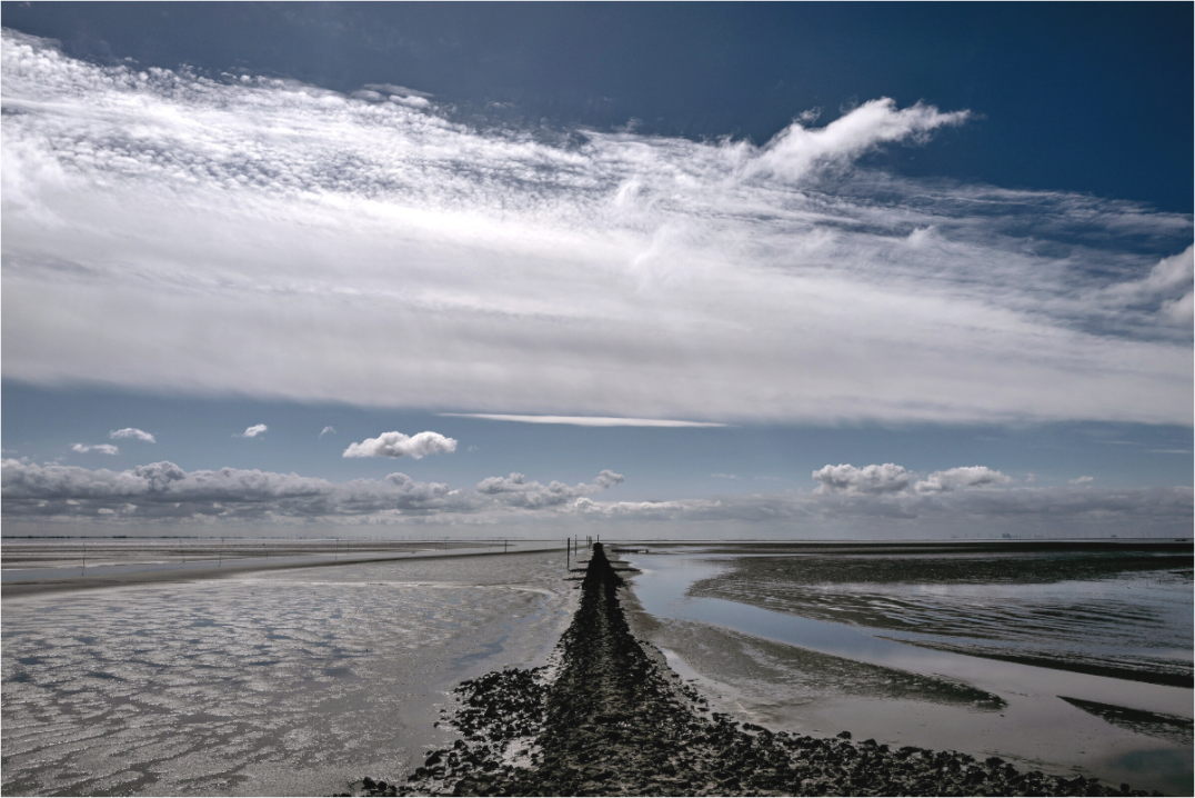 Main image Blick ins Wattenmeer