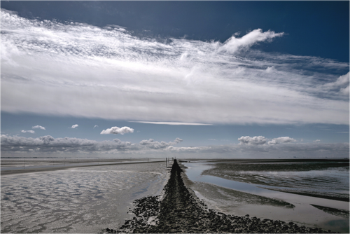 Main image Blick ins Wattenmeer