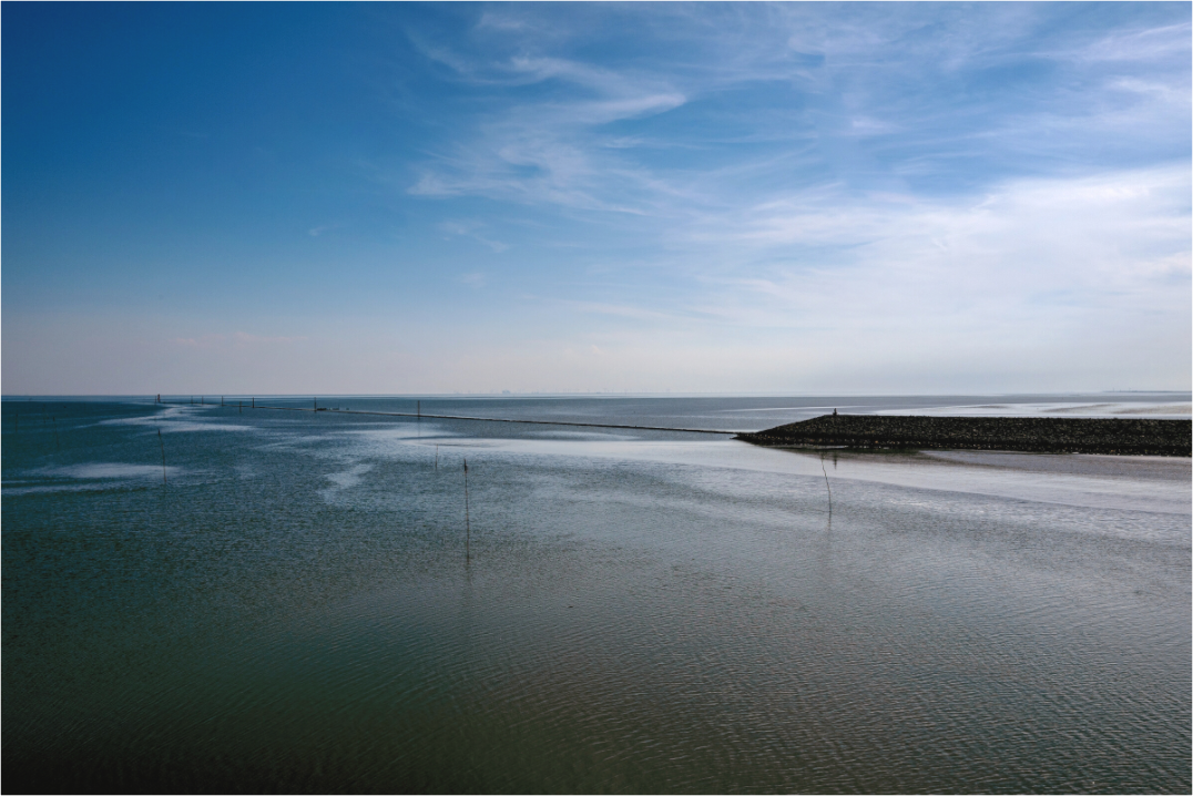 Main image Still in der Nordsee