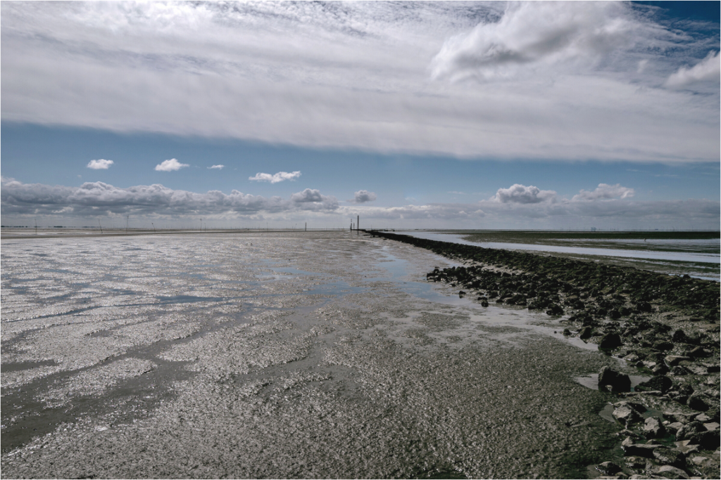Main image Nordseeblick rauh und natürlich