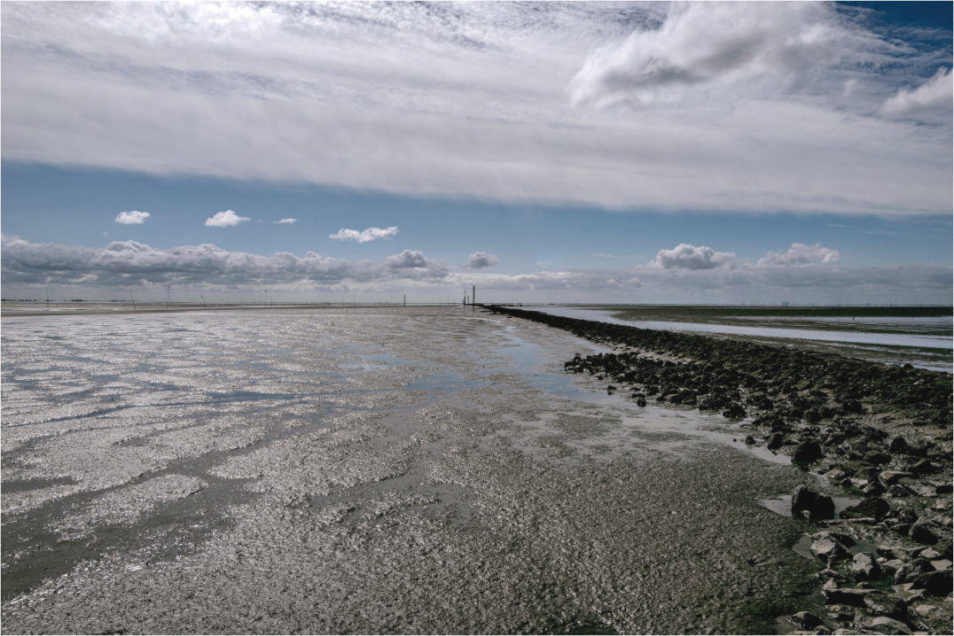Main image Nordseeblick rauh und natürlich